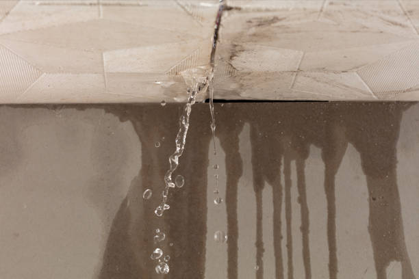 Professional Structural Drying technician working in Alexandria, OH